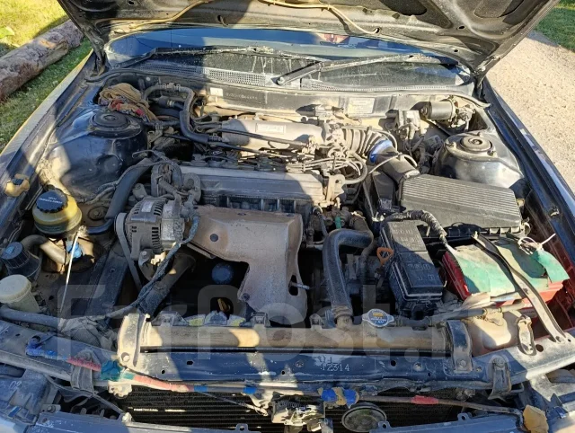 Toyota Vista. �������, ��������, 1.8 (80��.�.), ������, 180 000����. �� ����