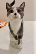 �����. ����