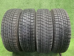 Bridgestone Ice Partner