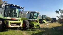 MEGA. , Tucano, Lexion ����