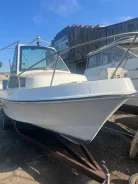 Yamaha Fish 22. 1989 ���, ����� 6,9��., ��������� ���������, 115��.�., ������ ����