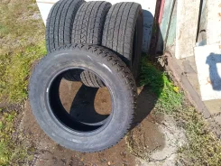 Nexen Winguard. ������, ��� �����, �/�, ����� �� 5 % ����