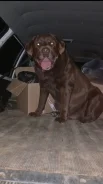 ������. ����