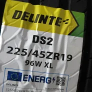 Delinte DS2
