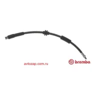 ����� ��������� | ��� ����/��� | T24116 ����