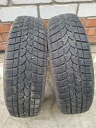 Tigar Winter 1. ������, ��� �����, 2021 ���, �/�, ����� 20 % ����