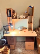 ����� ������������. ����