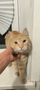 �����. ����