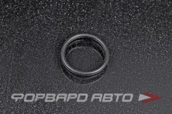 ������ �������������� ������������ 17*2 NOK OR-02.00_017.00 OR020001700 ����