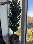 ����� ��������� ������ ����