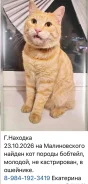 �������. ����