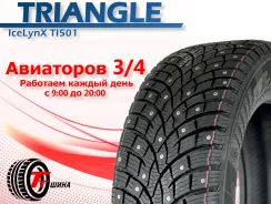 Triangle IcelynX TI501. ������, ����������, 2026 ���, �����. ��������� ����