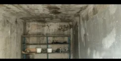 �������� ����-�������. ����