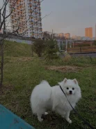 ����. ����