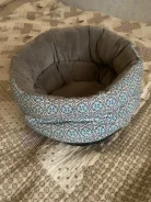 ����� ������� ��� ����� ��� ��������� ����� ����