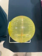 ����� ������� ��� ��� �������� ����