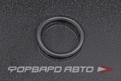 ������ �������������� ������������ 32*3,5 NOK OR-03.50_032.00 OR035003200 ����