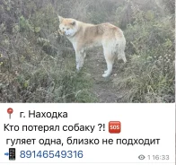 ������. ����