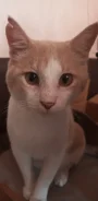 �����. ����