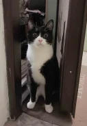 �����. ����