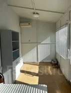 ���������. ����