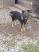 ������. ����
