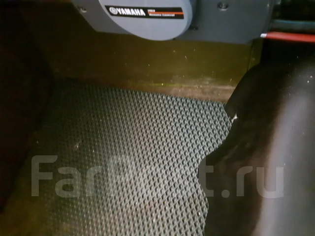 ��������-2�. 1980 ���, ����� 4,6��., ��������� ���������, 30��.�., ������ ����