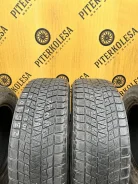 Bridgestone Blizzak DM-V1