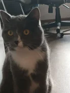 �����. ����
