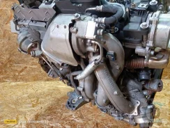 ������� BMW 5 E60/E61 [����������] 2008 11657802587 11657802587 ����