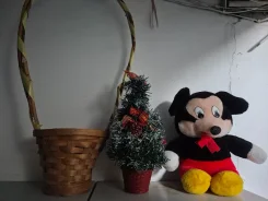 ������ �������, ������������� ����, ������� ����