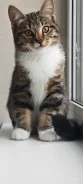 �����. ����