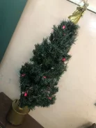 ���� ����