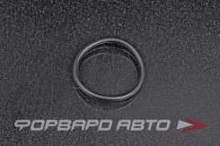 ������ �������������� ������������ 28*2,5 NOK OR-02.50_028.00 OR025002800 ����