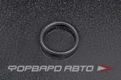 ������ �������������� ������������ 20*2,5 NOK OR-02.50_020.00 OR025002000 ����