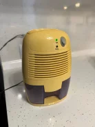 ����� ����-��������� ����