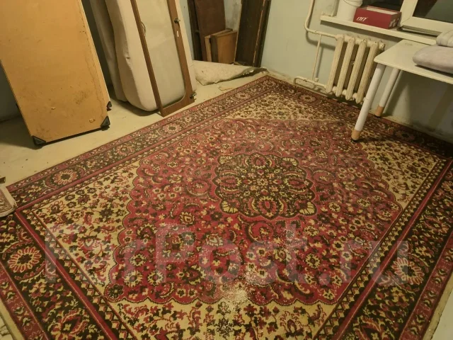 ��������� ���� ����