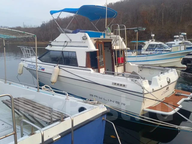 Bayliner. 1991 ���, ����� 7��., ��������� ������������, 220��.�., ������ ����