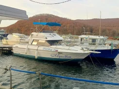 Bayliner. 1991 ���, ����� 7��., ��������� ������������, 220��.�., ������ ����