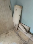 �������� ����