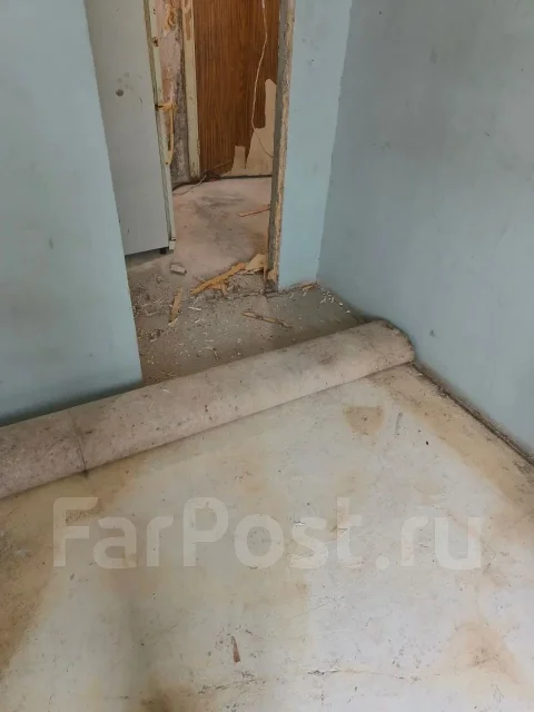 �������� ����