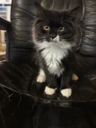 �����. ����