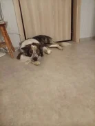 ������ �����. ����