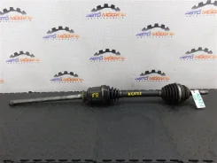 ������ Toyota RAV4 4341042060 ACA21 1AZ-FE, �������� ������ 4341042060 ����