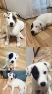 ����� � ������ ���� ����