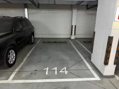 ����� �����������. . ��� ������ ����