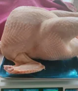 �������. ����