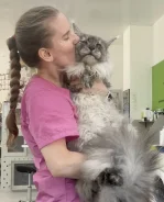 �������. ����