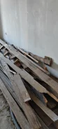 ����� ������ �� ����� ����