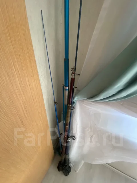������ ����